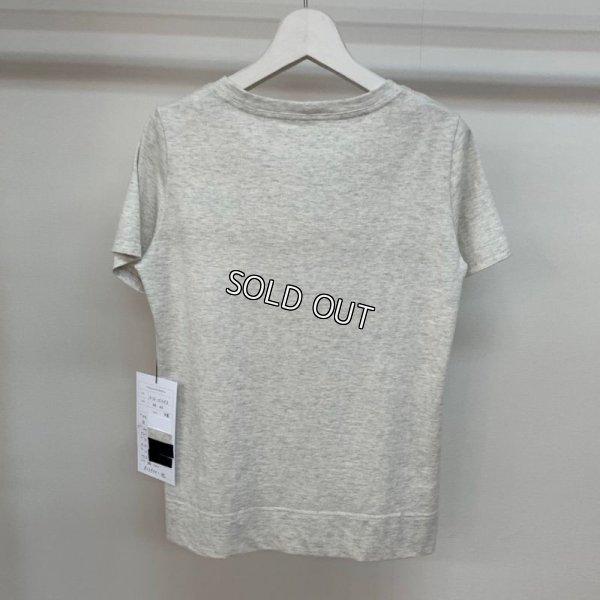 画像3: [PNT]天竺　レインボーロゴＴシャツ (3)