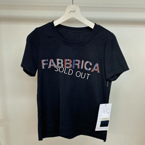 画像4: [PNT]天竺　レインボーロゴＴシャツ (4)