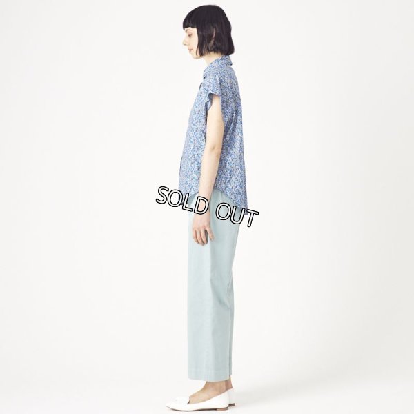 画像3: [PNT]シャツ・ブラウス フレンチ袖プリント (3)