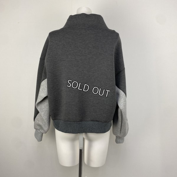 画像2: [PNT]トップス・Tシャツ 配色P/O (2)