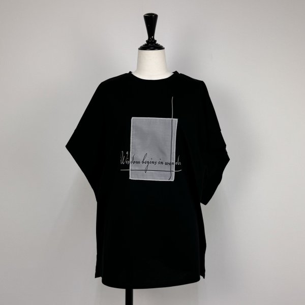 画像1: [PNT]トップス・Tシャツ 加工付カットソー (1)