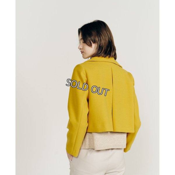 画像3: [PINETA]ジャケット ＢＩＧ衿　ショート丈 (3)